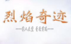 烈焰新开奇迹,每个职业套装属性一致,多样选择,告别另人厌倦的一套顶级